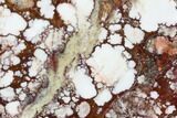 Polished Wild Horse Magnesite Slab - Arizona #114306-1